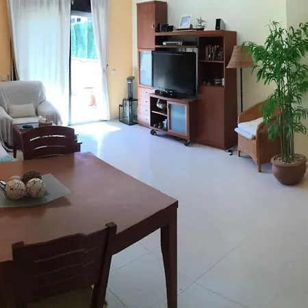 Apartamento Con Terraza - Mimosa *